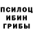 Псилоцибиновые грибы мухоморы Katrinka716