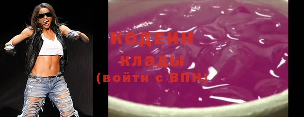 МДПВ Нея