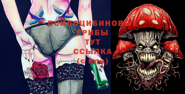 МДПВ Нея