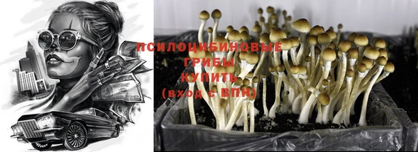 МДПВ Нея