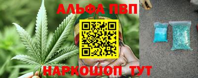 индика Владимир