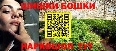 индика Владимир