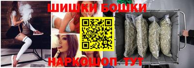 индика Владимир