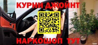 индика Владимир