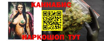 индика Владимир
