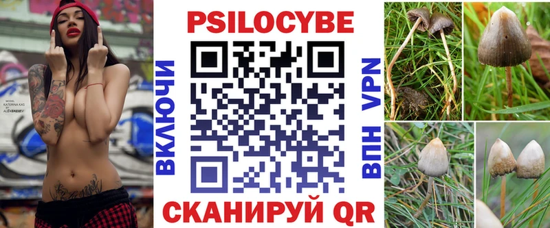 Псилоцибиновые грибы Psilocybine cubensis  где найти   Курган 