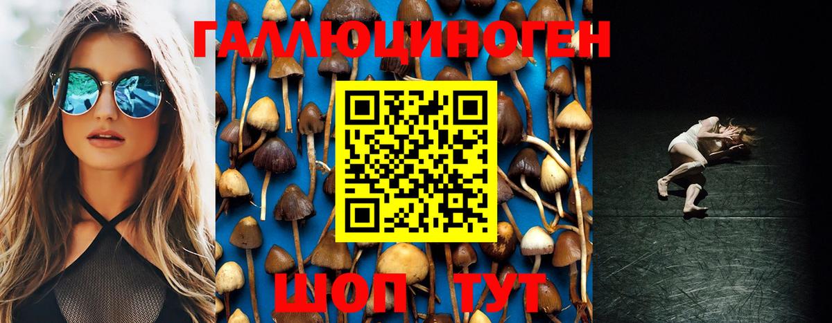 Галлюциногенные грибы Psilocybe Курган