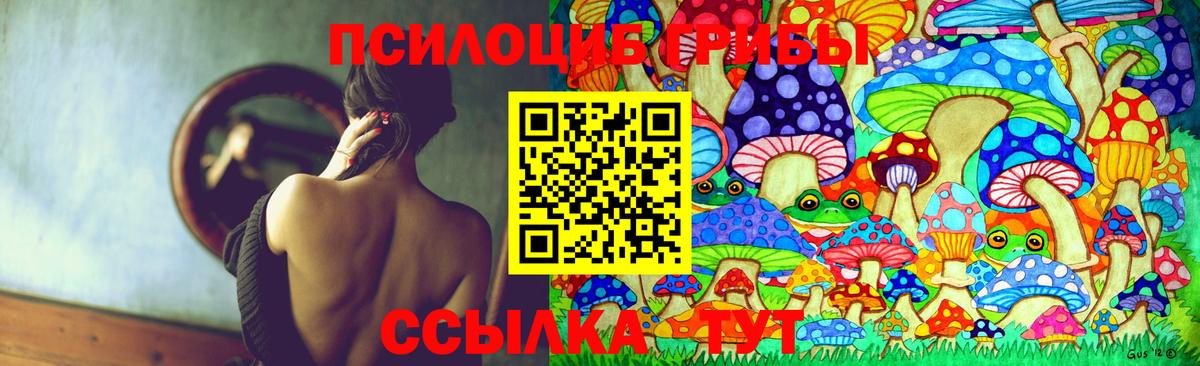Галлюциногенные грибы GOLDEN TEACHER  Вход с VPN  Курган  Галлюциногенные грибы Cubensis 